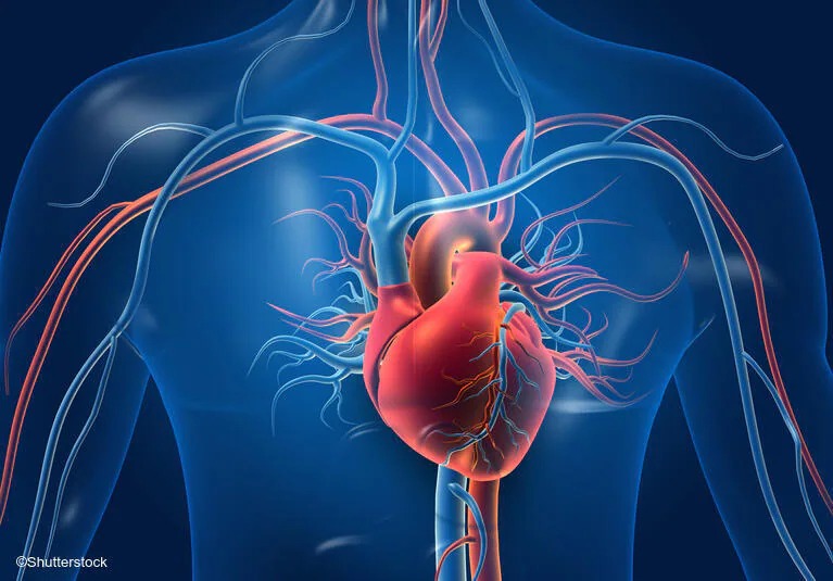 Top Cardiologist in Rajarajeshwari Nagar Bangalore