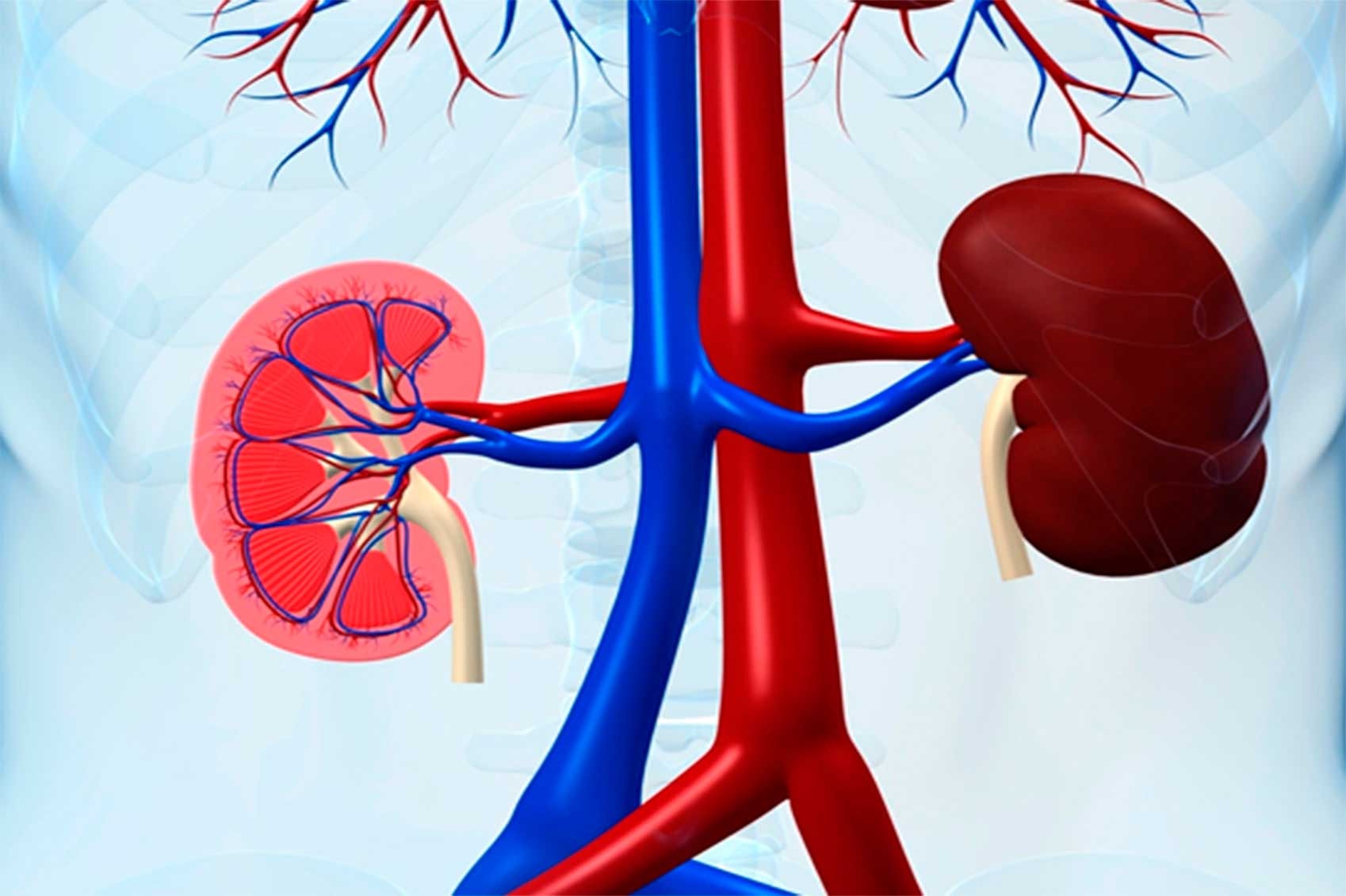 Kidney and Urological care clinic